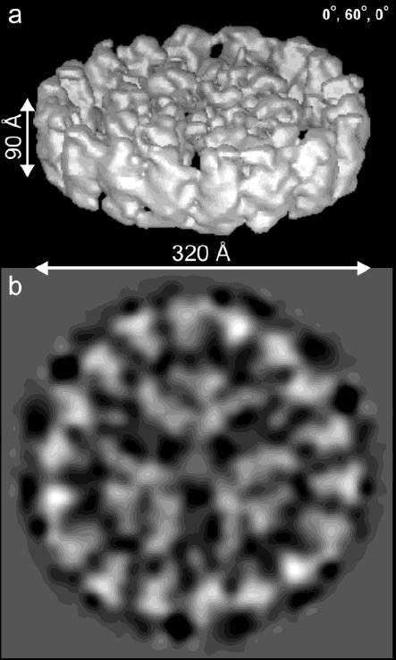 isiA_PSI_cryo_3D