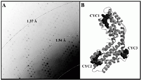 JSBPhycofig2