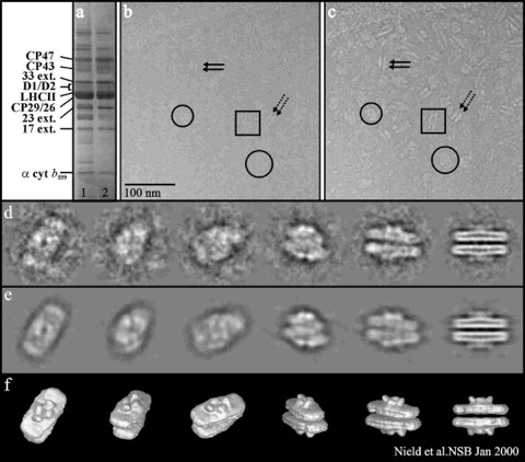 NSBfig1