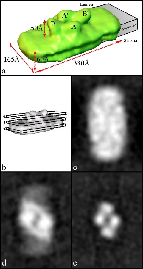 NSBfig2