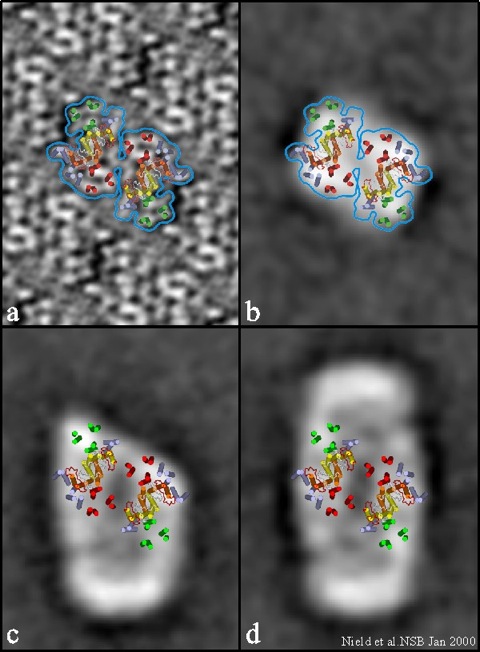 NSBfig3