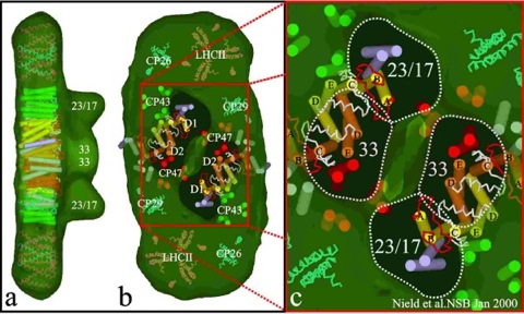 NSBfig4